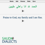 100 Saudi Dialect Anki Flashcards (Intermediate)